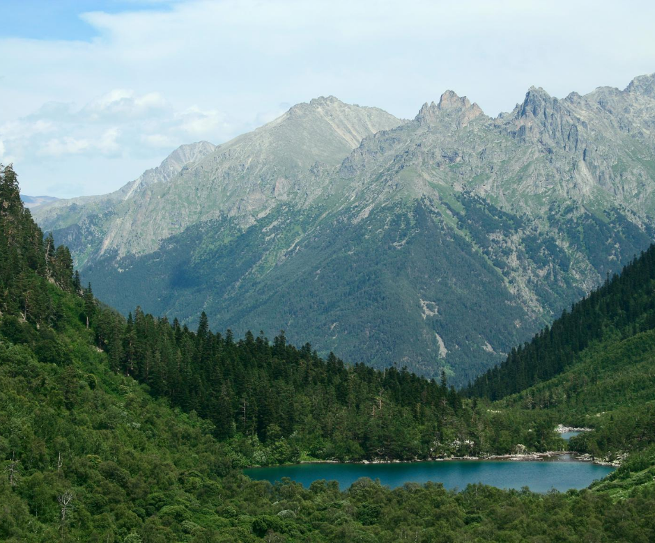 Q&A with Scientist Rick Lindroth: Part 2