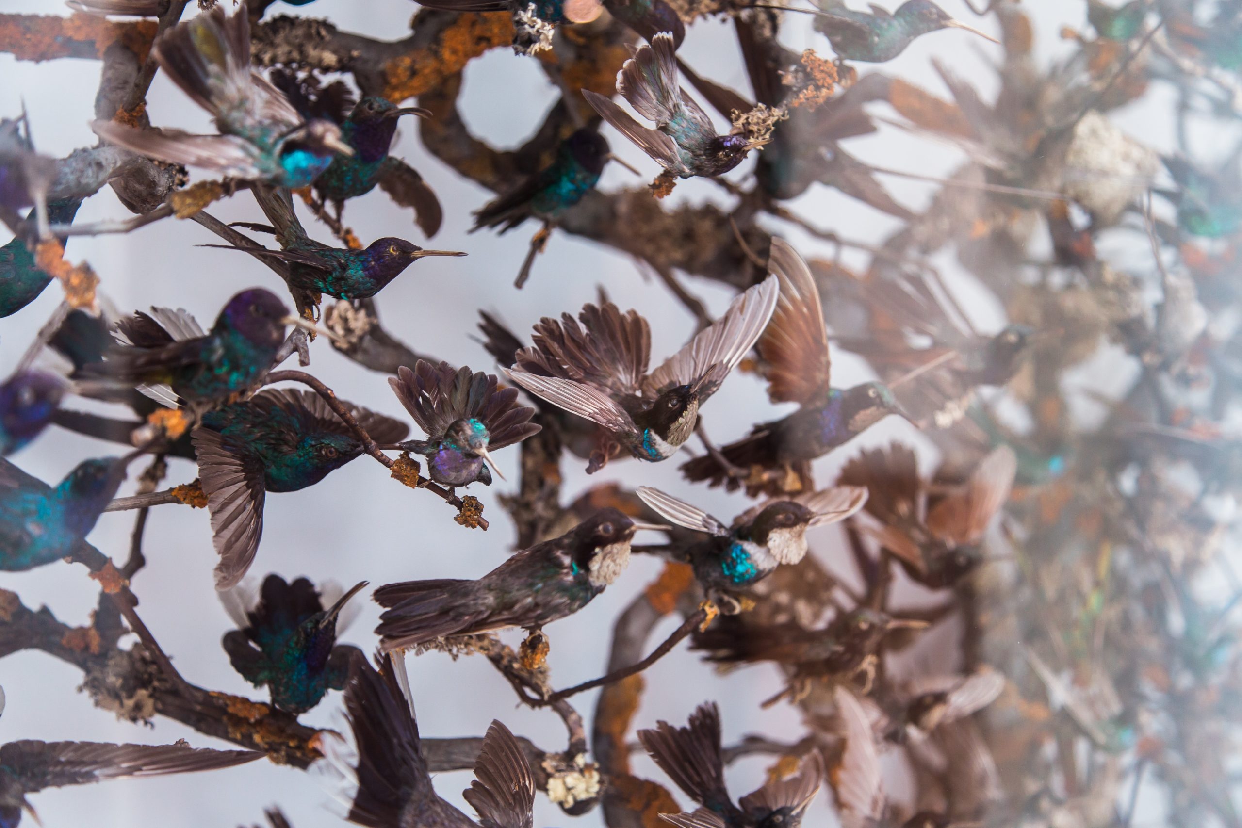 What is Convergence and Why is it Interesting?