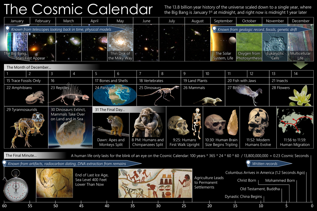 The Cosmic Calendar