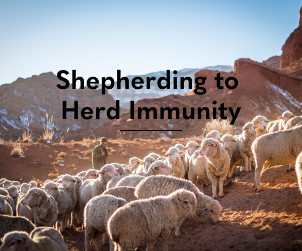 Shepherding to Herd Immunity