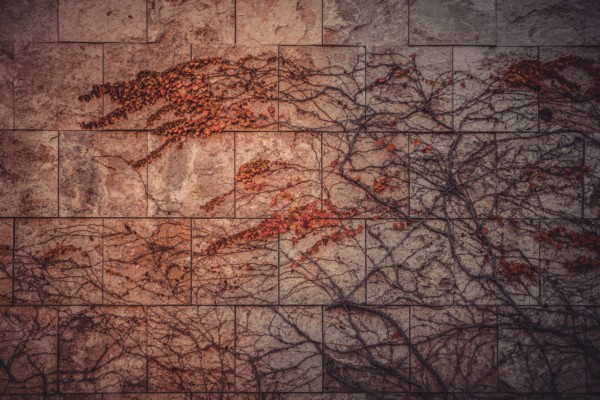 Some New Complexity in the Conflict Thesis