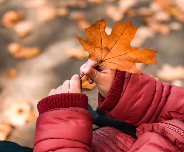 The Giving in Thanksgiving