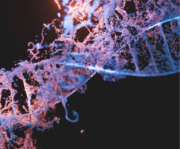 In Our DNA: J. Wentzel van Huyssteen