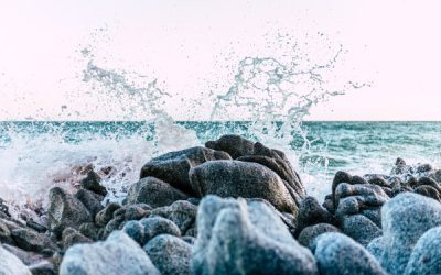 Saving Us: Learning to Talk about Climate Change