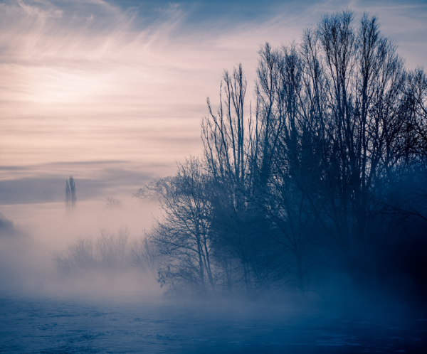 What About Evolution?  Greg Talks with a Theologian and a Biologist