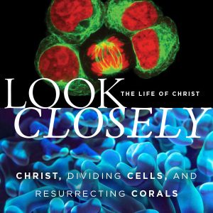 Look Closely Devo - Cover Image