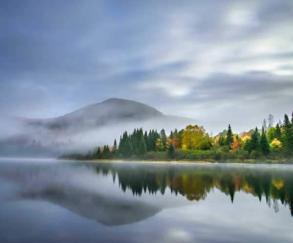 Called to Creation: An Interview with Jessica Moerman