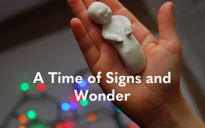 A Time of Signs and Wonder